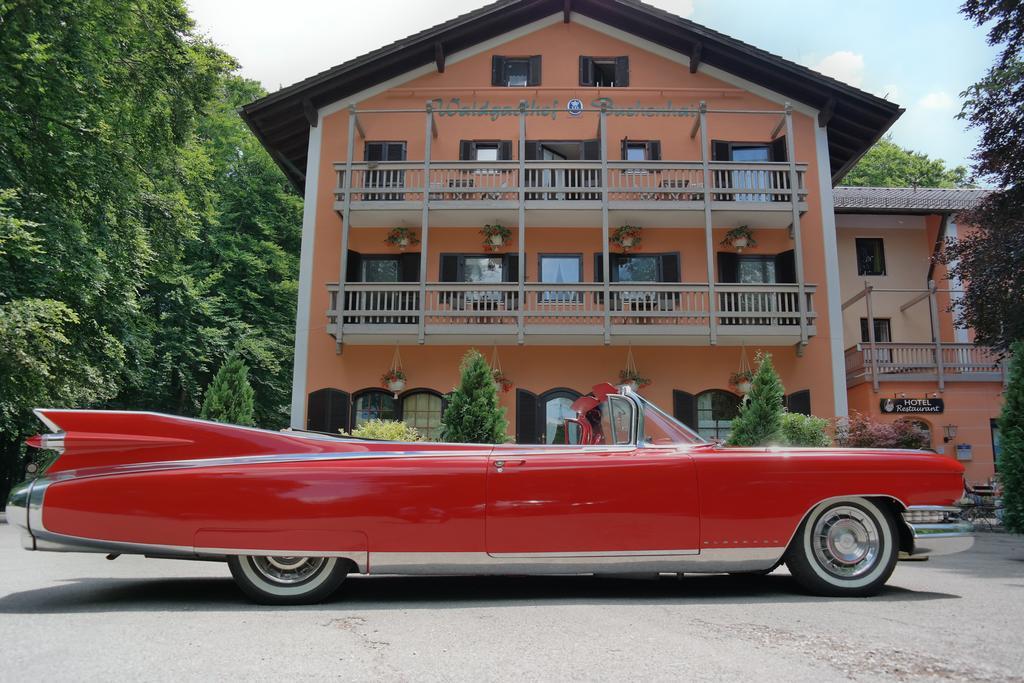 Hotel Waldgasthof Buchenhain Baierbrunn Eksteriør billede